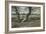 Study of Two Trees in a Field-Edwin Austin Abbey-Framed Giclee Print