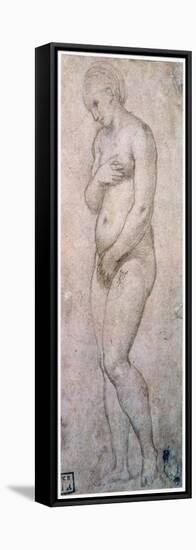 Study of Venus, C1500-1520-Raphael-Framed Premier Image Canvas