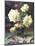 Study of White Roses-Frans Mortelmans-Mounted Giclee Print