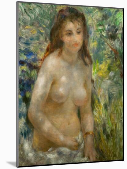 Study, Torso, Sun Light (Young Woman in the Sun), 1875-1876-Pierre-Auguste Renoir-Mounted Giclee Print