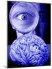 Studying the Brain, Conceptual Image-Victor De Schwanberg-Mounted Photographic Print