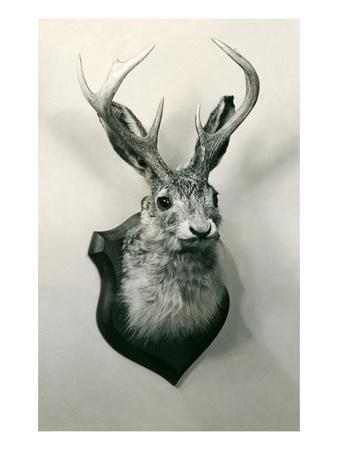 stuffed jackalope