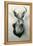 Stuffed Jackalope-null-Framed Stretched Canvas