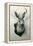 Stuffed Jackalope-null-Framed Stretched Canvas