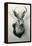 Stuffed Jackalope-null-Framed Stretched Canvas