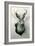 Stuffed Jackalope-null-Framed Art Print