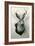 Stuffed Jackalope-null-Framed Art Print