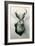 Stuffed Jackalope-null-Framed Art Print