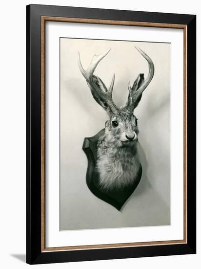 Stuffed Jackalope-null-Framed Art Print