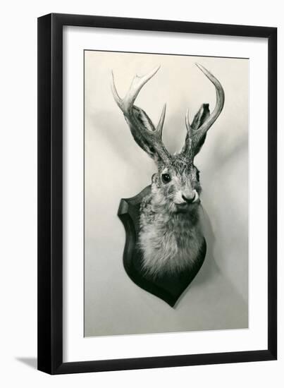 Stuffed Jackalope-null-Framed Art Print