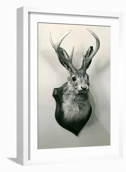 Stuffed Jackalope-null-Framed Art Print