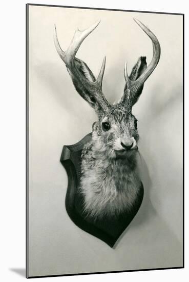 Stuffed Jackalope-null-Mounted Art Print