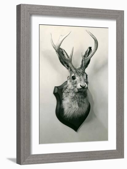 Stuffed Jackalope-null-Framed Premium Giclee Print