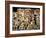 Stuffed Tiger Trophy Heads of Big Game Hunters Are Piled Up in Paul Zimmerman's Taxidermy Shop-Loomis Dean-Framed Photographic Print