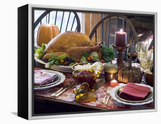Stuffed Turkey on Thanksgiving Table (USA)-null-Framed Premier Image Canvas