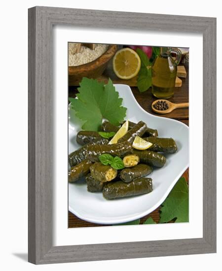 Stuffed Vine Leaves, Dolmades, Arabic Countries, Arabic Cooking, Greek Food, Turkish Food-Nico Tondini-Framed Photographic Print