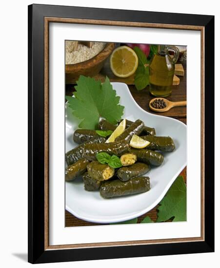 Stuffed Vine Leaves, Dolmades, Arabic Countries, Arabic Cooking, Greek Food, Turkish Food-Nico Tondini-Framed Photographic Print