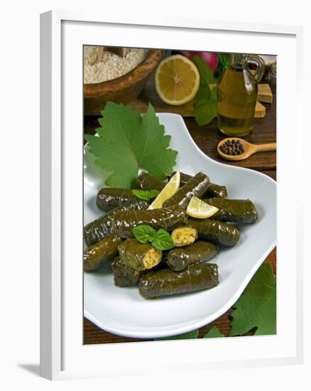 Stuffed Vine Leaves, Dolmades, Arabic Countries, Arabic Cooking, Greek Food, Turkish Food-Nico Tondini-Framed Photographic Print