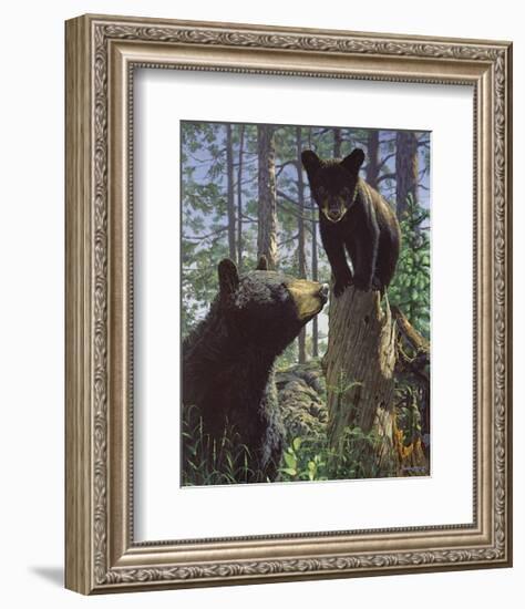 Stump Jumper-Bruce Miller-Framed Giclee Print