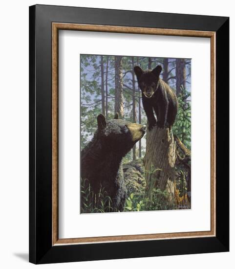 Stump Jumper-Bruce Miller-Framed Art Print