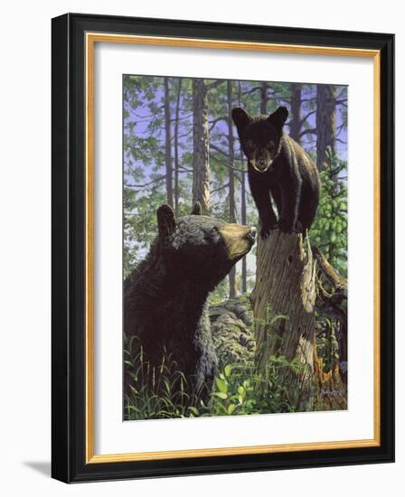 Stump Jumper-Bruce Miller-Framed Giclee Print