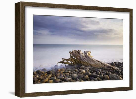 Stumped-Chris Moyer-Framed Photographic Print