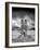 Stumped-Thomas Barbey-Framed Giclee Print