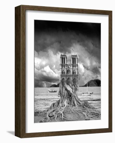 Stumped-Thomas Barbey-Framed Giclee Print