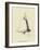 Stunnia Dinnerbellia-Edward Lear-Framed Giclee Print