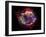 Stunning Composite Picture of Cas A,  Infrared Image from the Spitzer Space Telescope-null-Framed Photographic Print