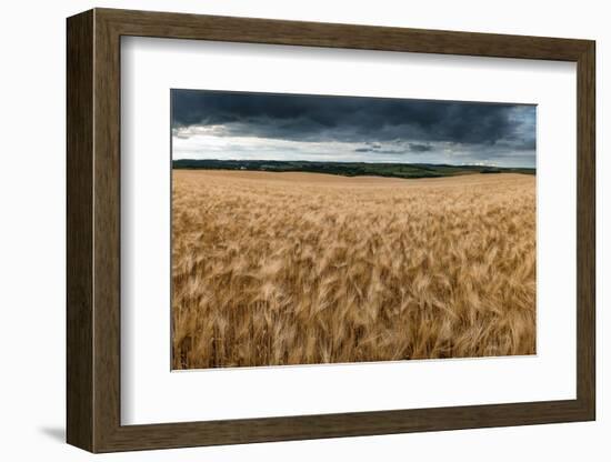 Stunning Countryside Landscape Wheat Field in Summer Sunset-Veneratio-Framed Photographic Print