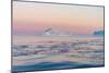 Stunning Iceberg Landscape with Midnight Sun Colors at Mouth ofIcefjord, Near Ilulissat, Greenland-Luis Leamus-Mounted Photographic Print