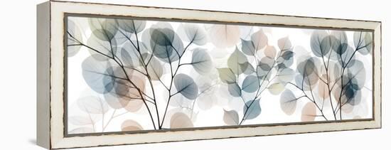 Stunning Recognition 1-Albert Koetsier-Framed Stretched Canvas