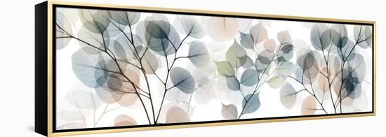 Stunning Recognition 1-Albert Koetsier-Framed Stretched Canvas