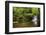 Stunning Waterfall Flowing over Rocks through Lush Green Forest with Long Exposure-Veneratio-Framed Photographic Print