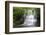 Stunning Waterfall Flowing over Rocks through Lush Green Forest with Long Exposure-Veneratio-Framed Photographic Print