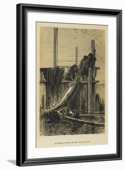 Sturgeon Fishing on the Volga River-null-Framed Giclee Print