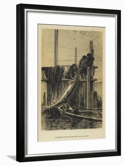 Sturgeon Fishing on the Volga River-null-Framed Giclee Print