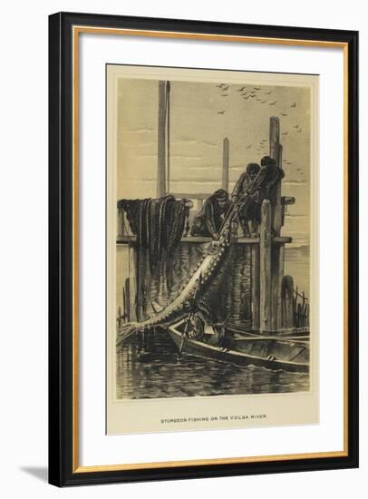 Sturgeon Fishing on the Volga River-null-Framed Giclee Print