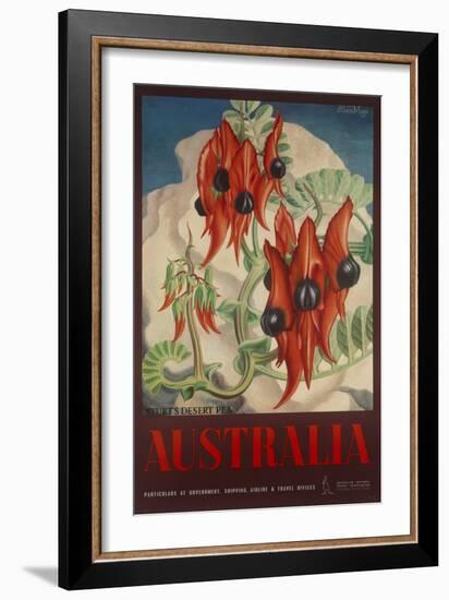 Sturt's Desert Pea, Australia Travel Poster-null-Framed Giclee Print