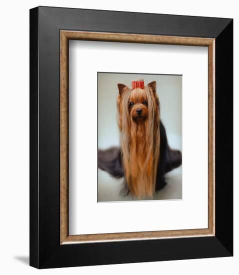 Style and Set-Rachael Hale-Framed Art Print