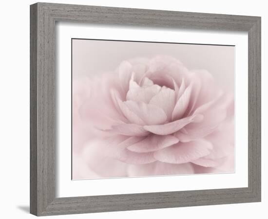 Stylisch Rose Pink-Cora Niele-Framed Photographic Print