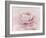 Stylisch Rose Pink-Cora Niele-Framed Photographic Print