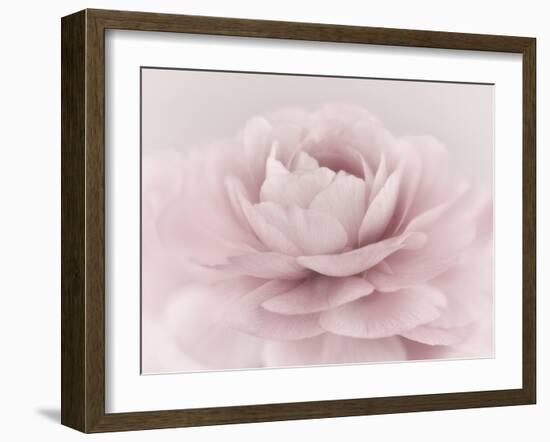 Stylisch Rose Pink-Cora Niele-Framed Photographic Print