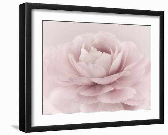 Stylisch Rose Pink-Cora Niele-Framed Photographic Print