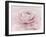 Stylisch Rose Pink-Cora Niele-Framed Photographic Print