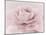 Stylisch Rose Pink-Cora Niele-Mounted Photographic Print