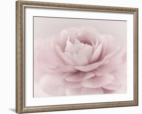 Stylisch Rose Pink-Cora Niele-Framed Photographic Print