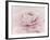 Stylisch Rose Pink-Cora Niele-Framed Photographic Print