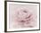 Stylisch Rose Pink-Cora Niele-Framed Photographic Print